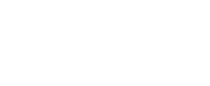 logo de website